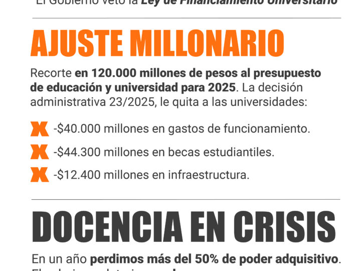 Veto, ajustes, recortes y una universidad movilizada